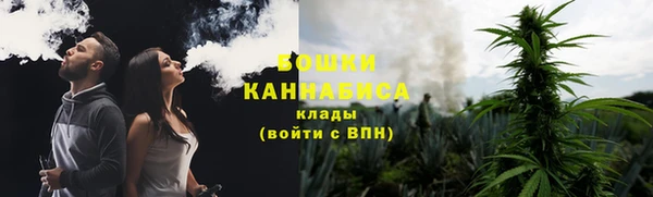 шишки Алексеевка