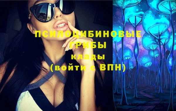 шишки Алексеевка