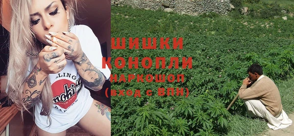 шишки Алексеевка