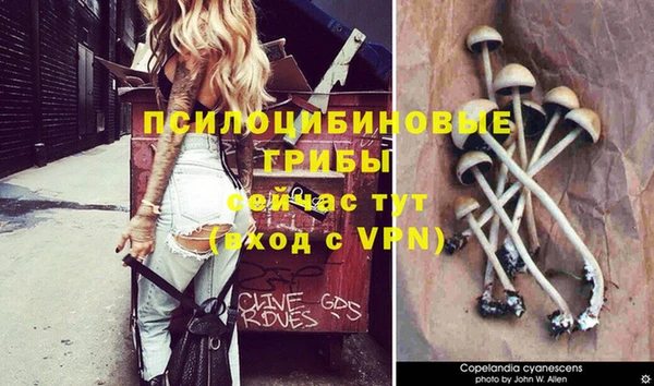mdpv Абдулино