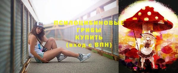 шишки Алексеевка