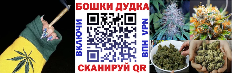где купить наркоту  Лодейное Поле  Марихуана план 
